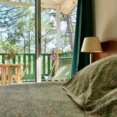 Apt Les Grands Pins, Entre Foret, Lac Et Ocean 卡尔康 外观 照片