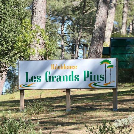 Apt Les Grands Pins, Entre Foret, Lac Et Ocean 卡尔康 外观 照片
