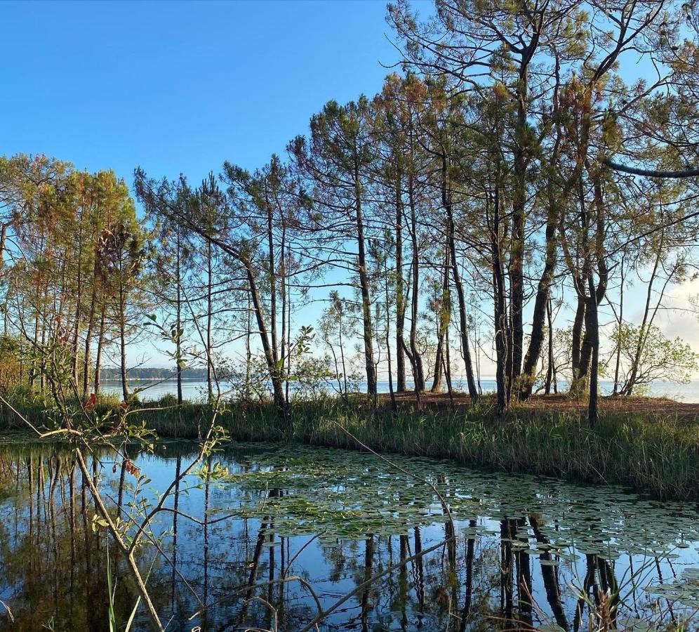 Apt Les Grands Pins, Entre Foret, Lac Et Ocean 卡尔康 外观 照片