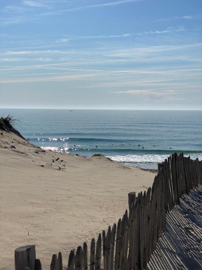 Apt Les Grands Pins, Entre Foret, Lac Et Ocean 卡尔康 外观 照片