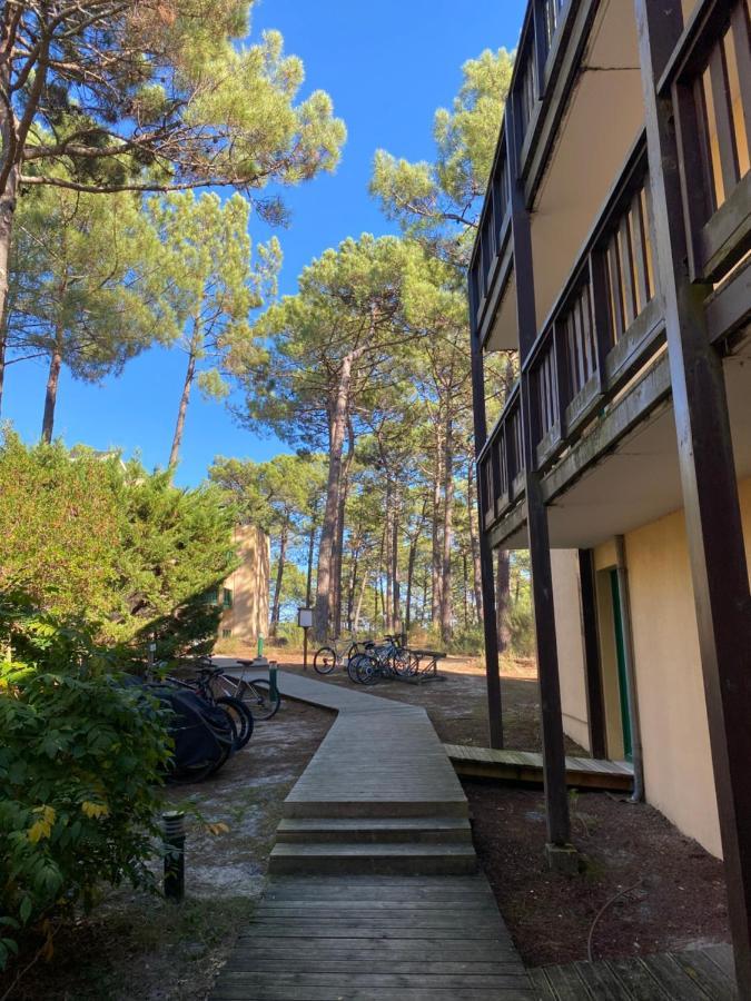 Apt Les Grands Pins, Entre Foret, Lac Et Ocean 卡尔康 外观 照片