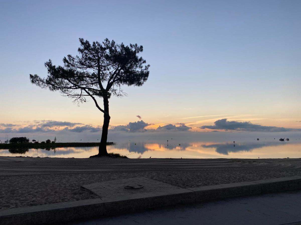 Apt Les Grands Pins, Entre Foret, Lac Et Ocean 卡尔康 外观 照片