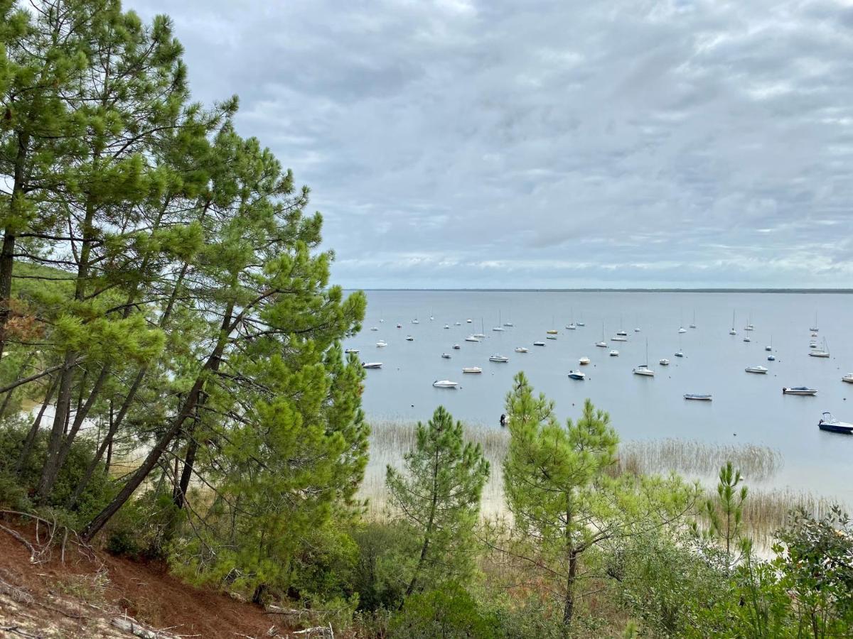 Apt Les Grands Pins, Entre Foret, Lac Et Ocean 卡尔康 外观 照片