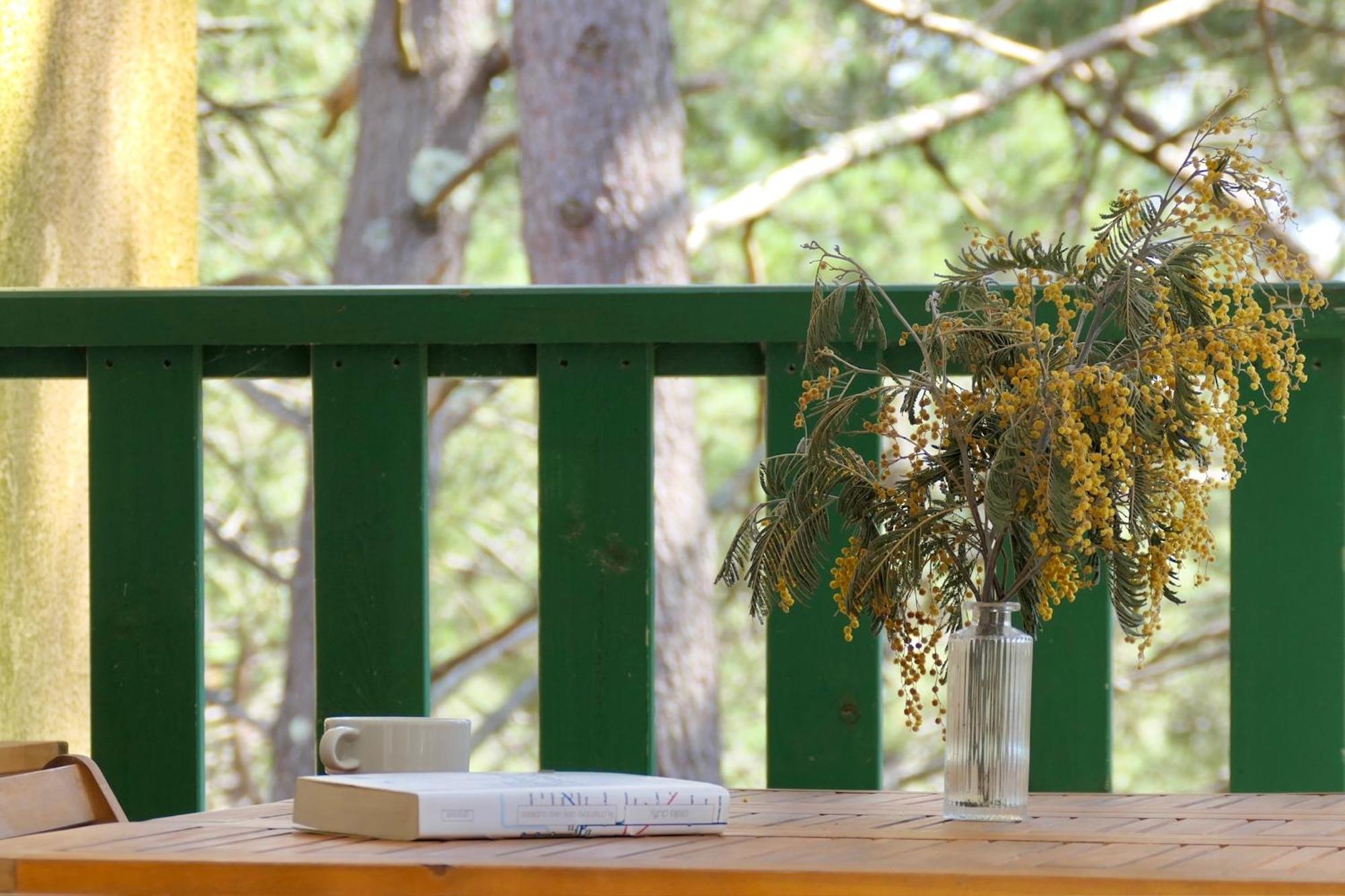 Apt Les Grands Pins, Entre Foret, Lac Et Ocean 卡尔康 外观 照片