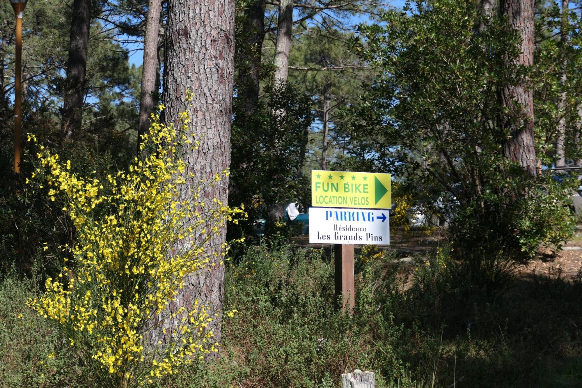 Apt Les Grands Pins, Entre Foret, Lac Et Ocean 卡尔康 外观 照片