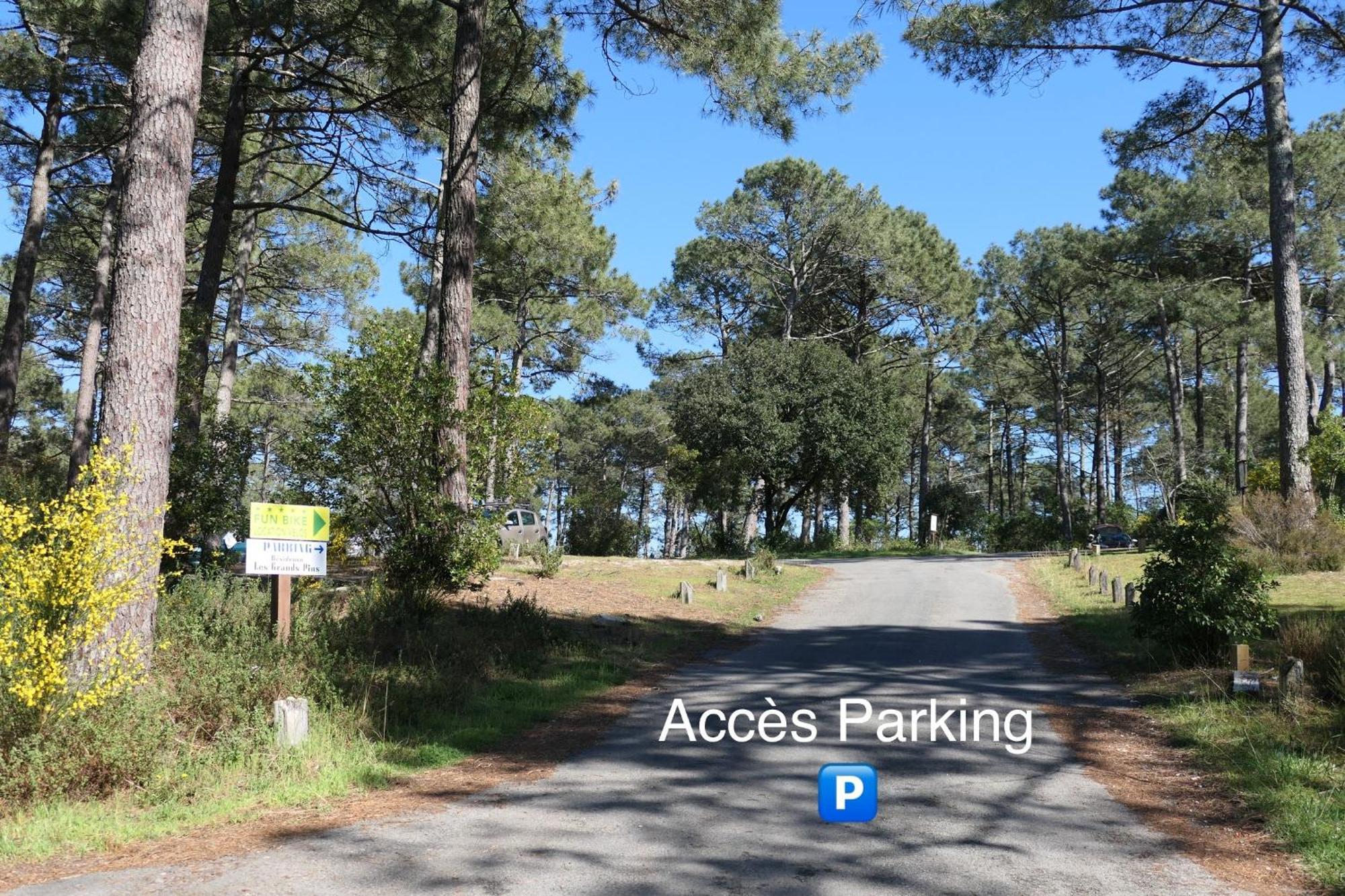 Apt Les Grands Pins, Entre Foret, Lac Et Ocean 卡尔康 外观 照片